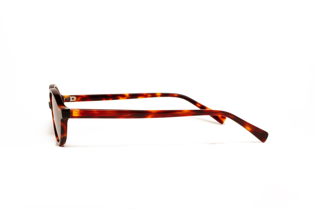 IRIS tortoise   /  black polarized oval sunglasses, side view