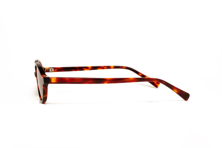 IRIS tortoise   /  black polarized oval sunglasses, side view