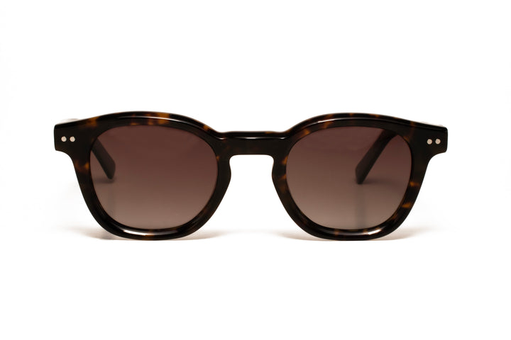 SKY tortoise / gradient grey polarized square sunglasses, front view