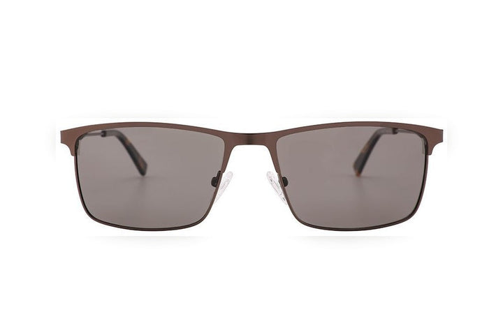 THEO m.brown polarized rectangle sunglasses, front view
