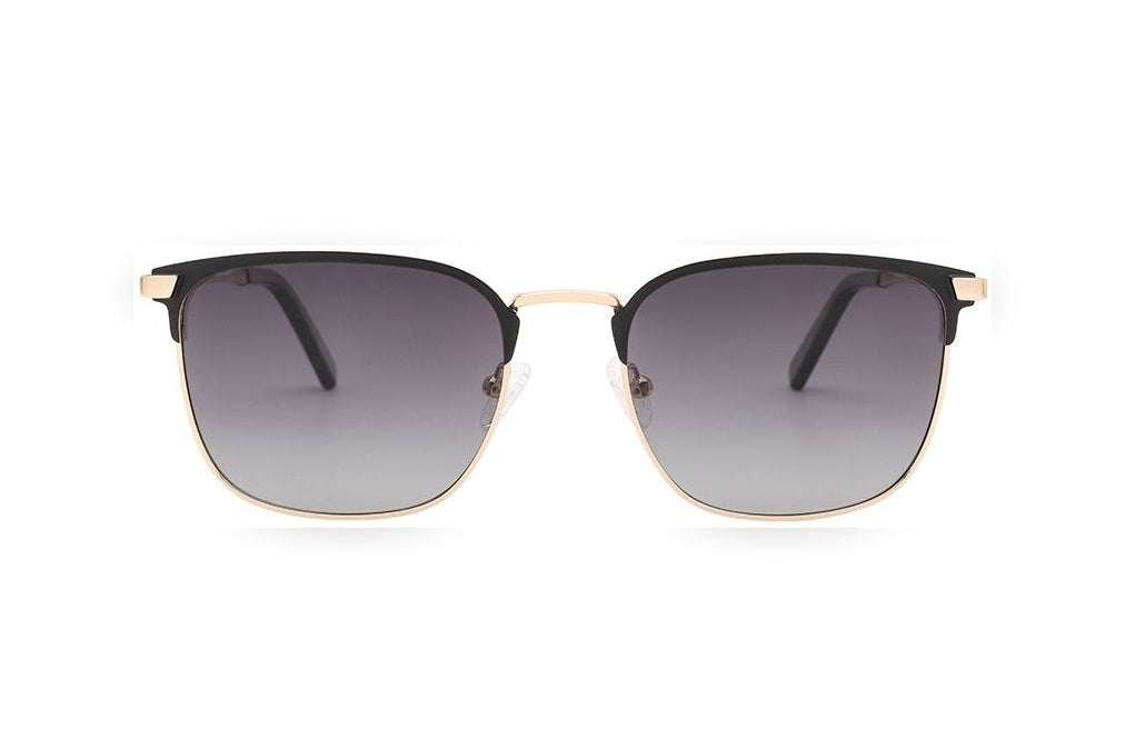 NORTH s.gold/m.black / grey polarized round sunglasses, front view