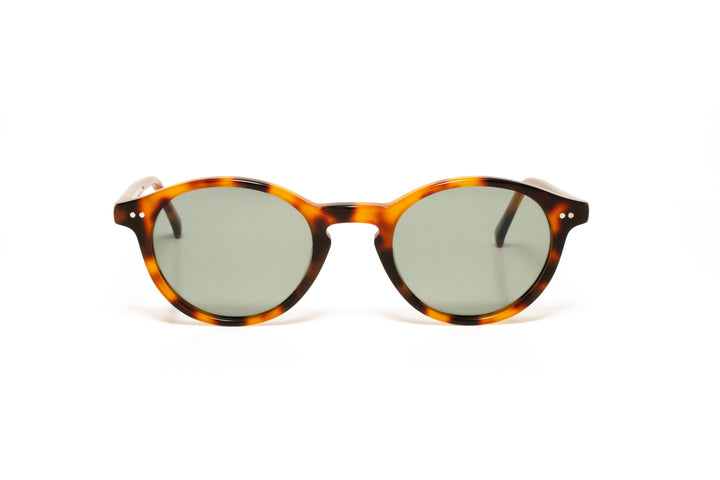 ZURI tortoise polarized round sunglasses, front view