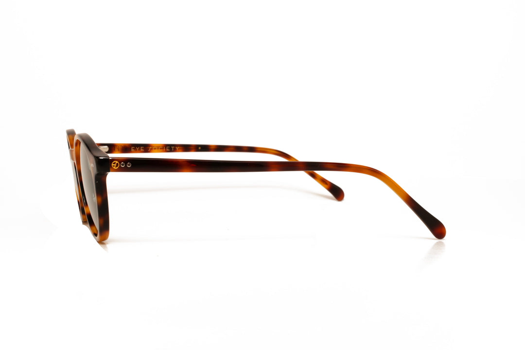 ZURI tortoise polarized round sunglasses, side view