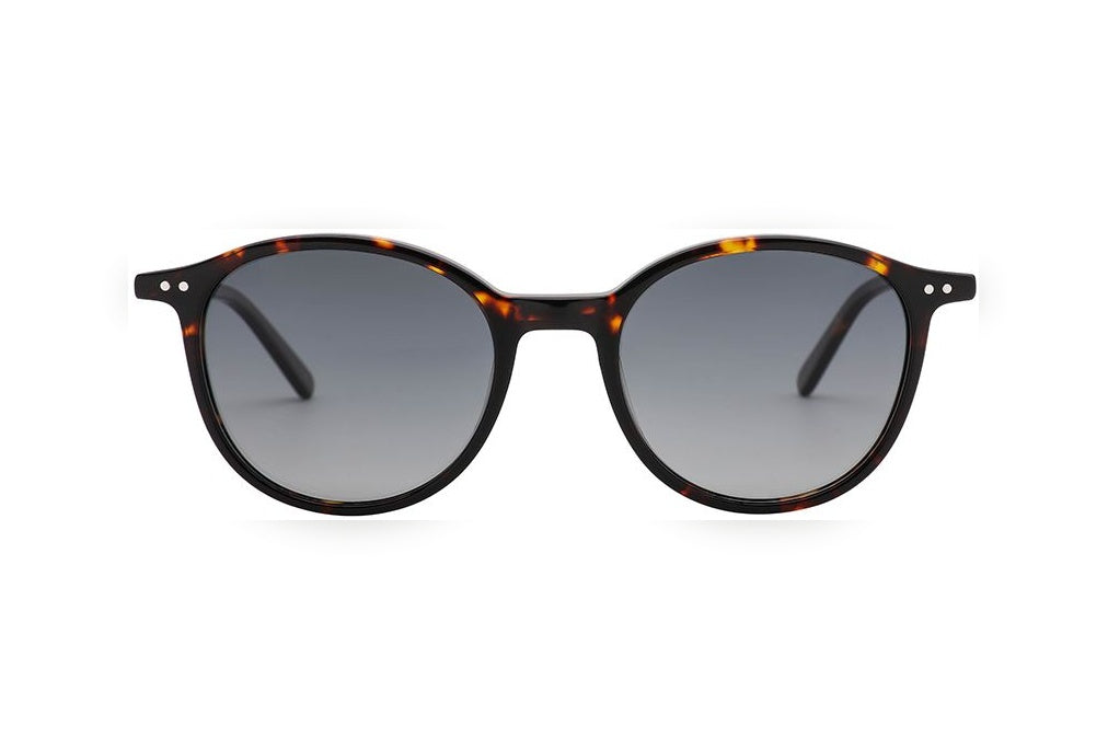 AREON tortoise polarized round sunglasses, front view