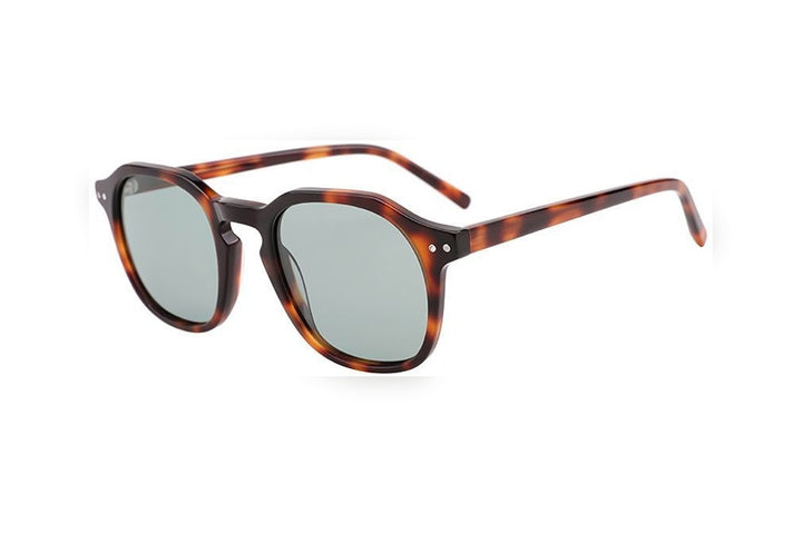 AREN tortoise polarized round sunglasses, top view