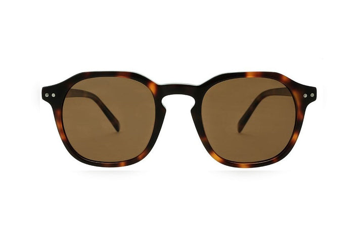 AREN tortoise polarized round sunglasses, front view