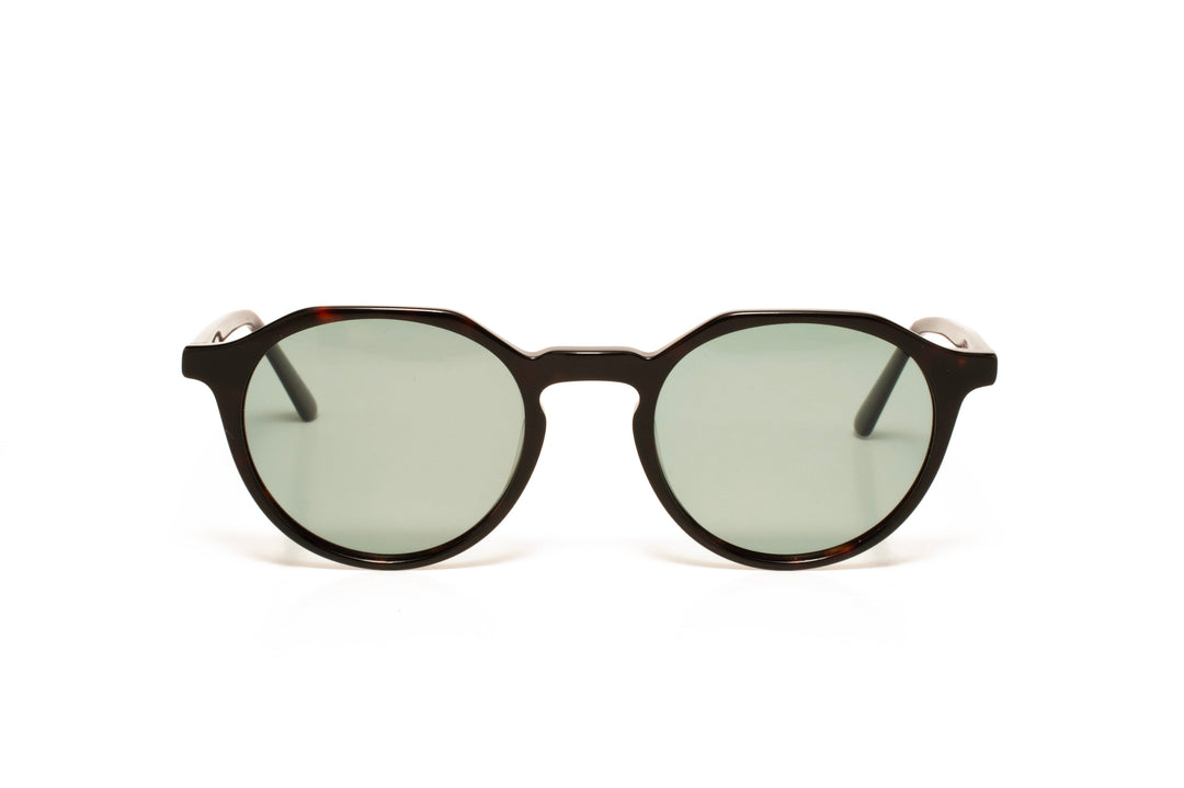 FOREST tortoise polarized round sunglasses, front view