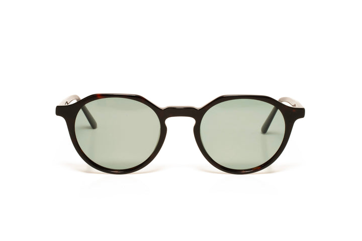 FOREST tortoise polarized round sunglasses, front view