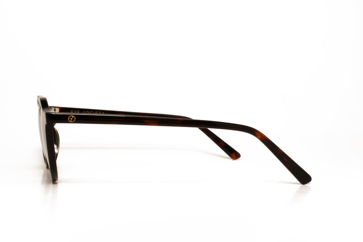 FOREST tortoise polarized round sunglasses, side view