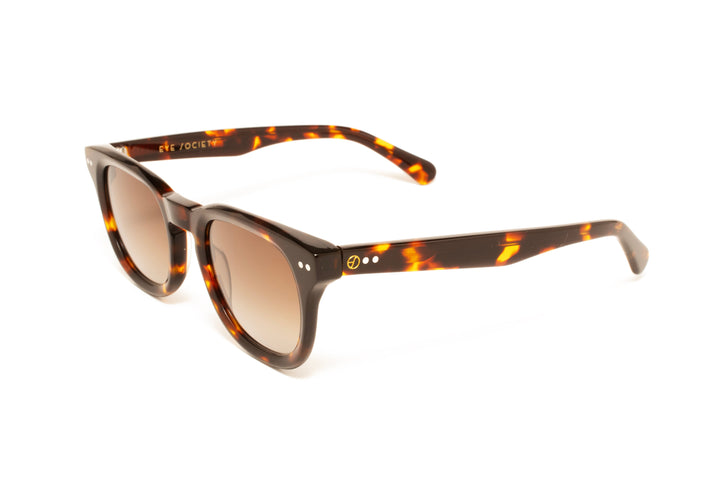 MIRAGE tortoise polarized rectangle sunglasses, top view