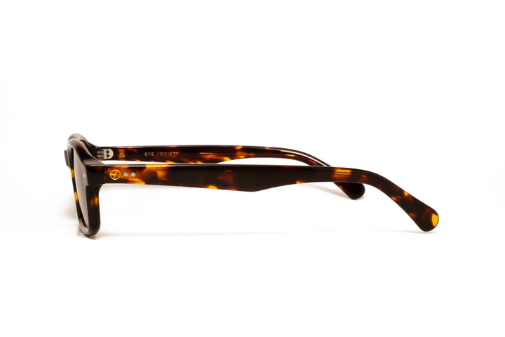 ECHO tortoise polarized rectangle sunglasses, side view