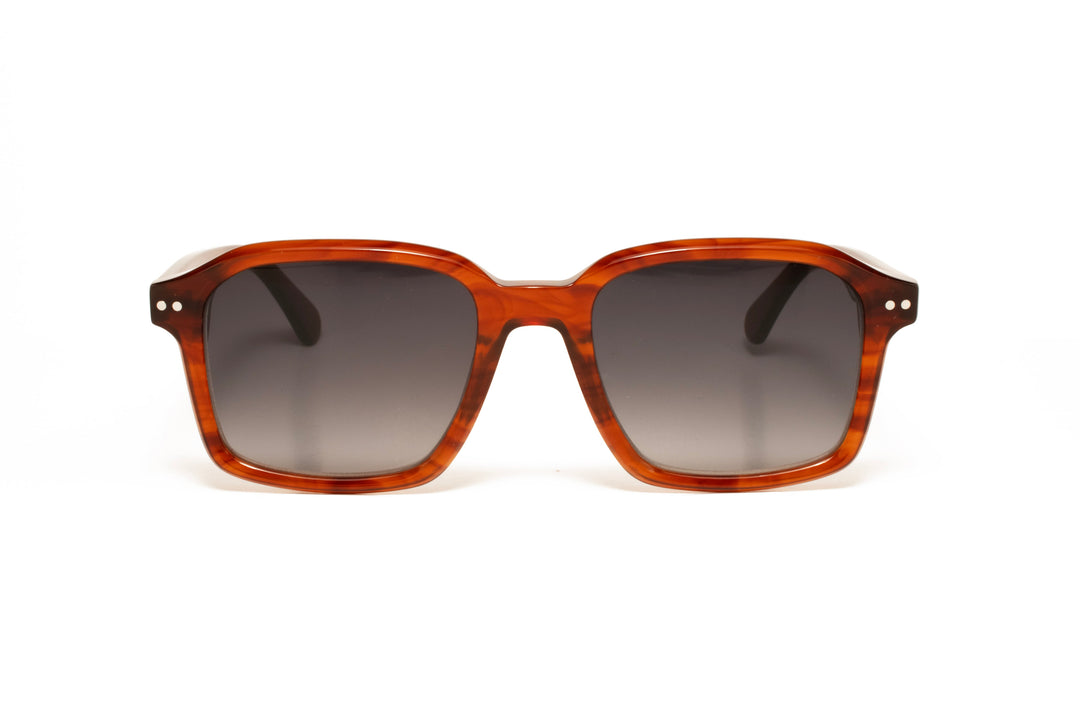 ENZO brown polarized square sunglasses, front view