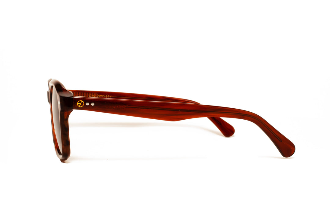 ENZO brown polarized square sunglasses, side view
