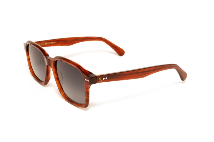 ENZO brown polarized square sunglasses, top view