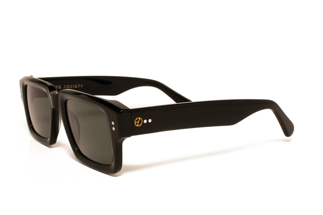 ELLIS black polarized rectangle sunglasses, top view