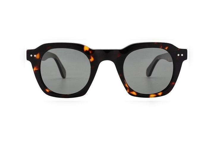 LUX tortoise polarized square sunglasses, front view