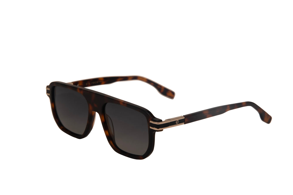 FELIX tortoise polarized rectangle sunglasses, top view