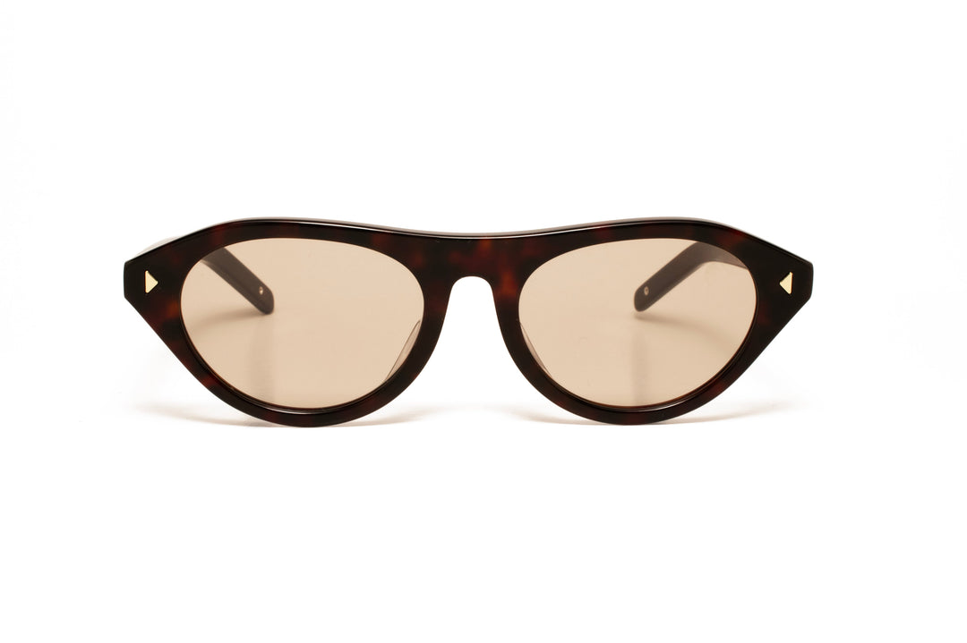 CEDAR tortoise / tea  aviator sunglasses, front view