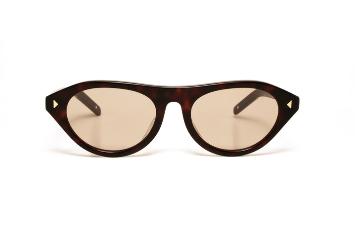 CEDAR tortoise / tea  aviator sunglasses, front view